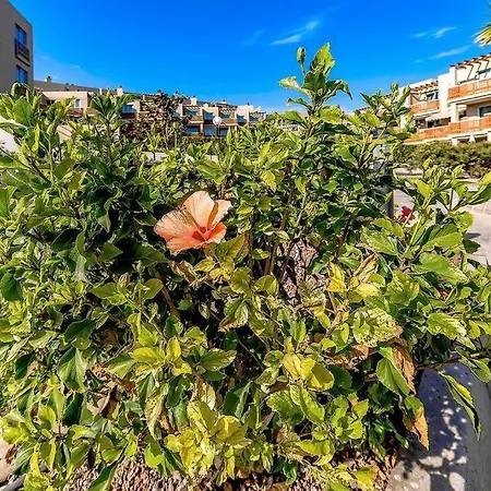 Panoramic View 3br With Ocean And Teide Views